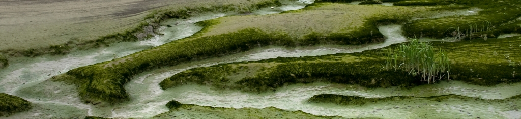 Foto van een natuurgebied met een onbevaarbare waterloop.