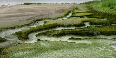 Foto van een natuurgebied met een onbevaarbare waterloop.